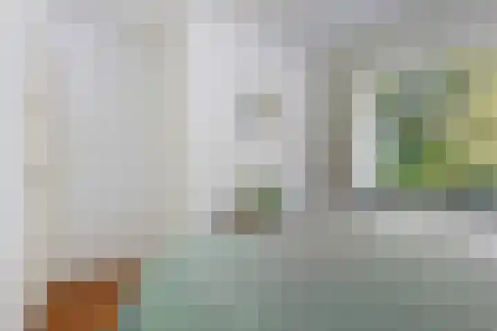 Abraham Kuyperlaan 27 Groningen thumbnail 26