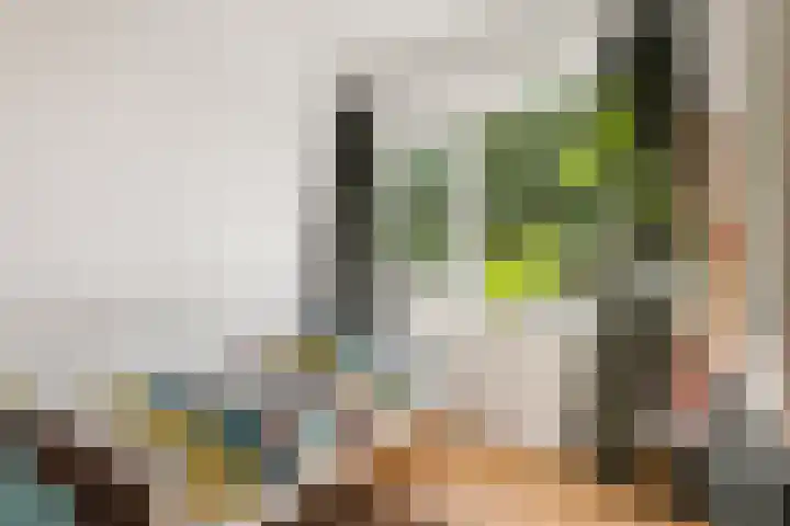 Abraham Kuyperlaan 27 Groningen thumbnail 27