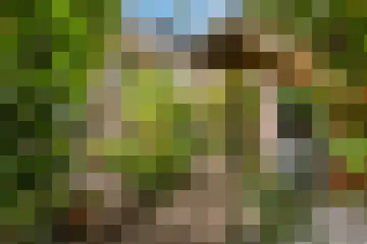 Abraham Kuyperlaan 27 Groningen thumbnail 58