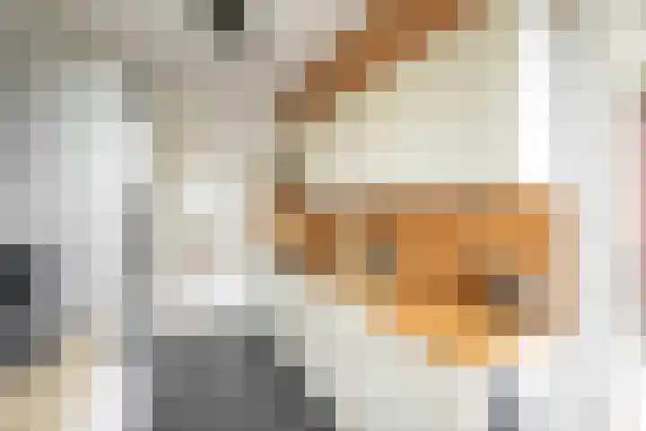 Abraham Kuyperlaan 28 Groningen thumbnail 12