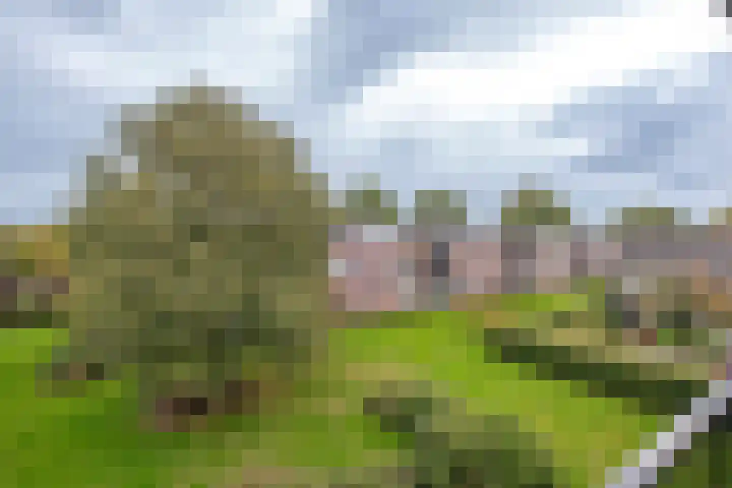 Abraham Kuyperlaan 42 Groningen thumbnail 24