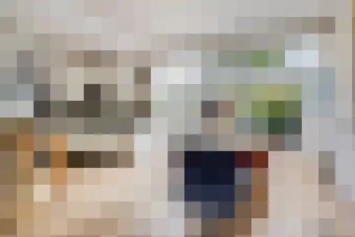 Abraham Kuyperlaan 68 Groningen thumbnail 19