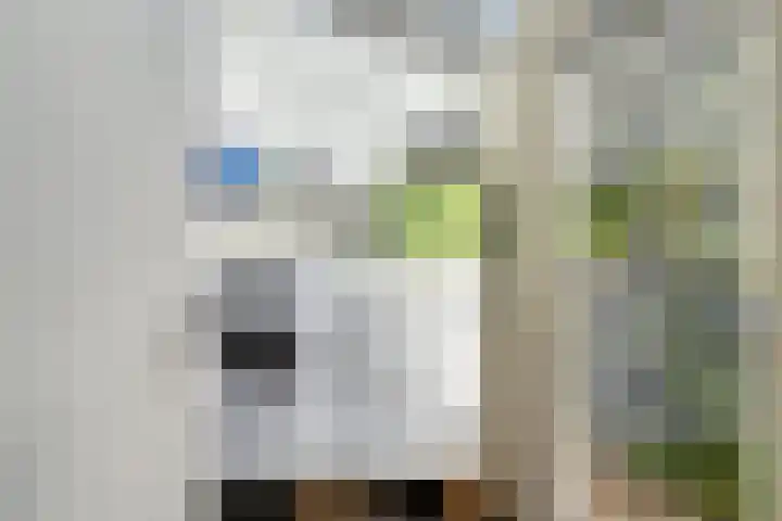 Abraham Kuyperlaan 68 Groningen thumbnail 22