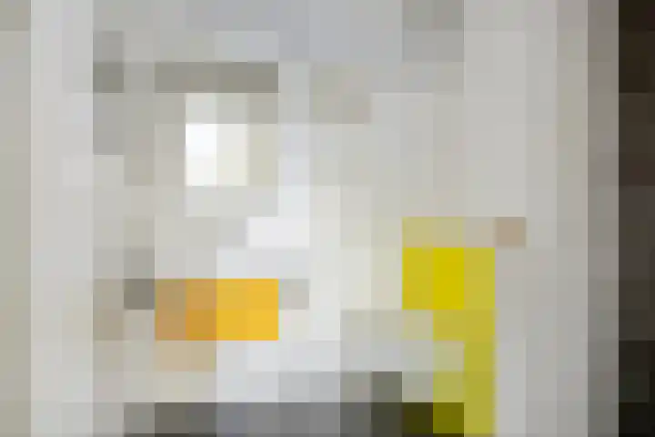 Abraham Kuyperlaan 68 Groningen thumbnail 27