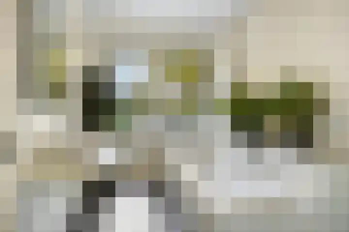 Abraham Kuyperlaan 68 Groningen thumbnail 30