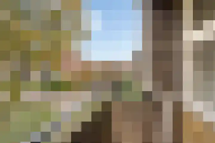 Abraham Kuyperlaan 68 Groningen thumbnail 34