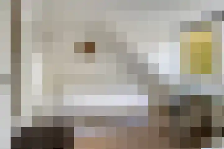 Abraham Kuyperlaan 68 Groningen thumbnail 42