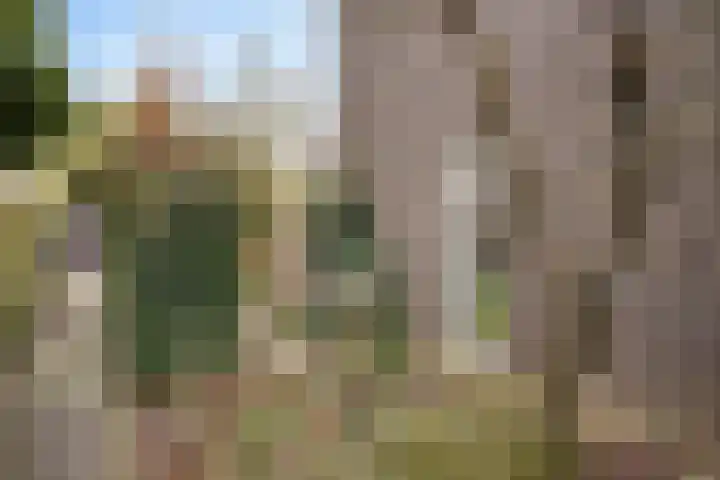 Abraham Kuyperlaan 68 Groningen thumbnail 52