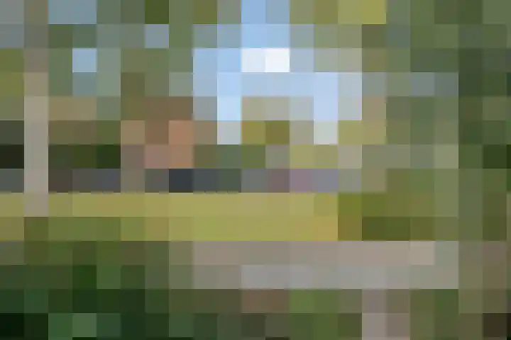 Abraham Kuyperlaan 68 Groningen thumbnail 61