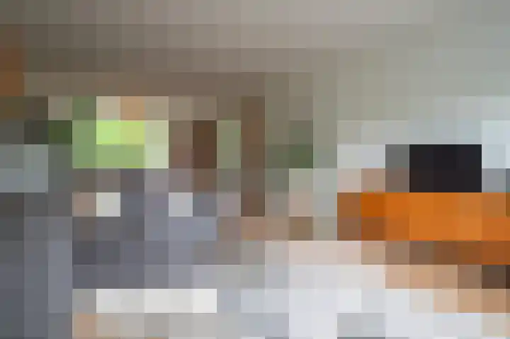 Abraham Kuyperlaan 73 Groningen thumbnail 13