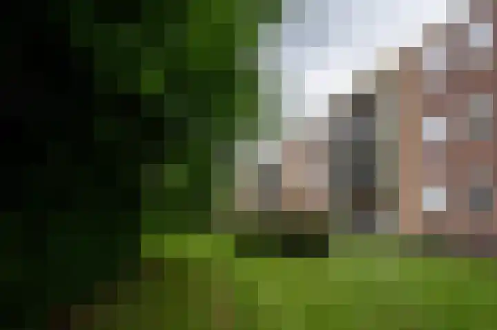 Abraham Kuyperlaan 73 Groningen thumbnail 28