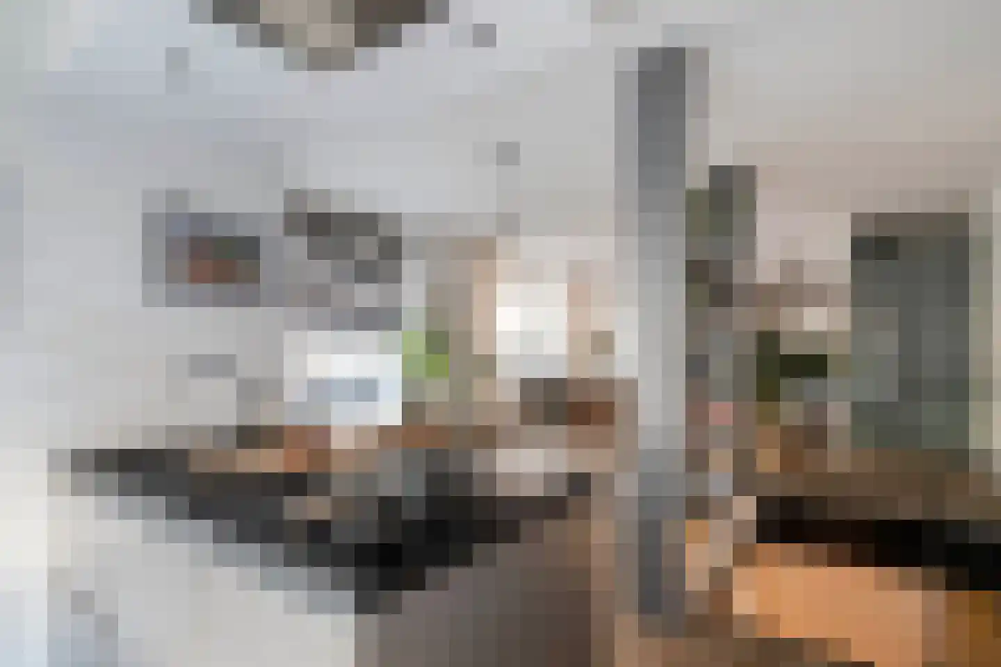 Abraham Kuyperlaan 82 B 02 Rotterdam thumbnail 12
