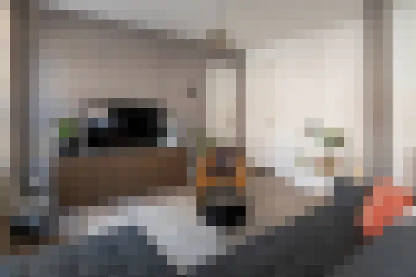 Abraham Kuyperlaan 82 B 02 Rotterdam thumbnail 16