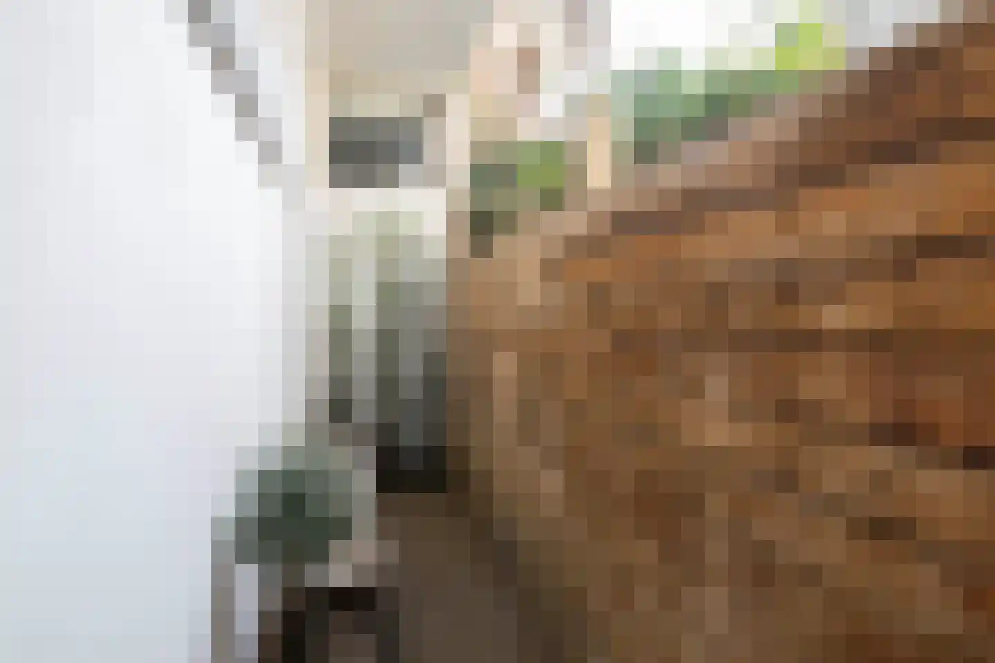 Abraham Kuyperlaan 82 B 02 Rotterdam thumbnail 37