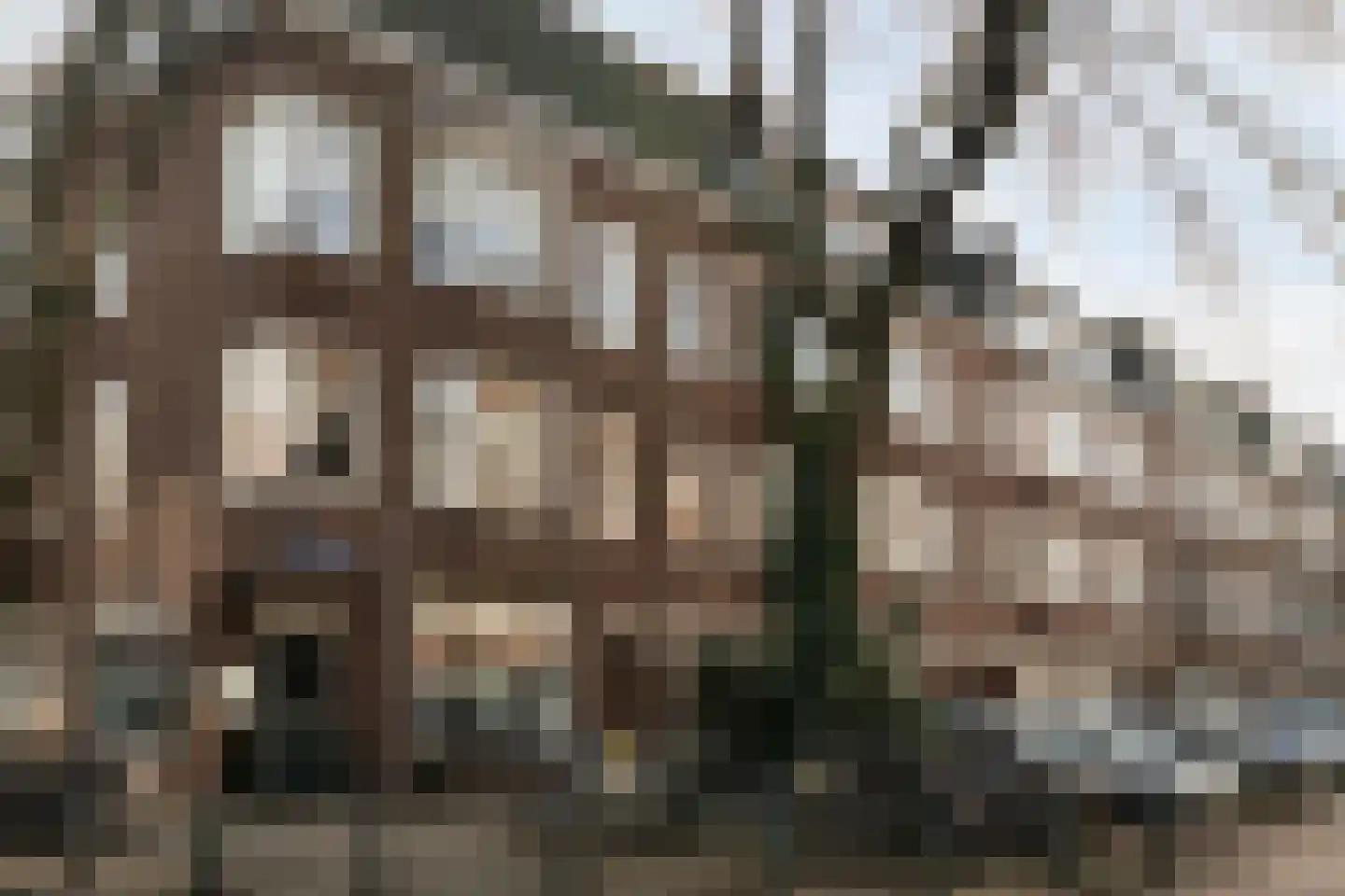 Abraham Kuyperlaan 82 B 02 Rotterdam thumbnail 40