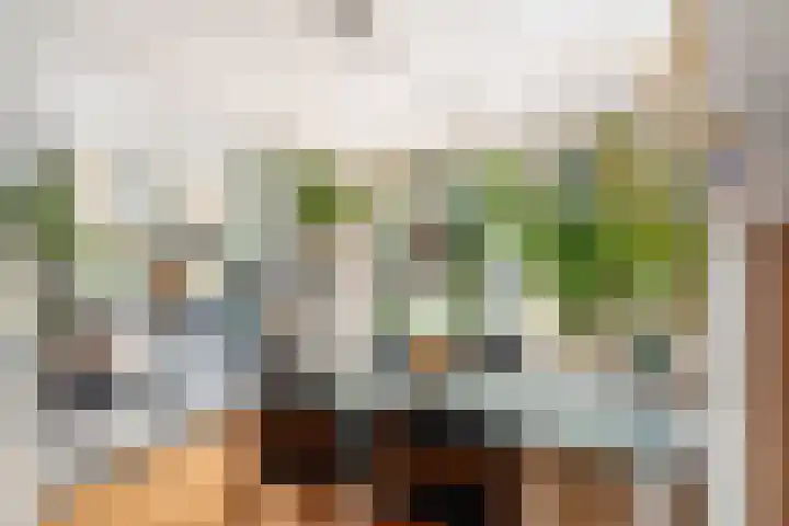 Abraham Kuyperlaan 88 A 01 Rotterdam thumbnail 6