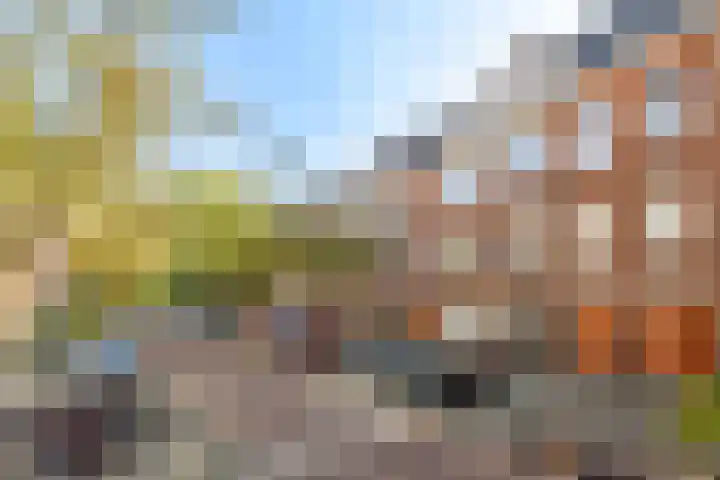 Abraham Kuyperlaan 96 A 02 in Rotterdam