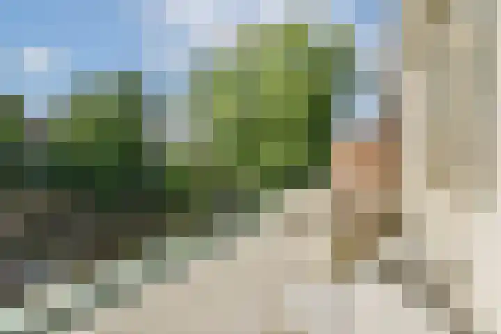 Abraham Kuyperlaan 96 A 02 Rotterdam thumbnail 13