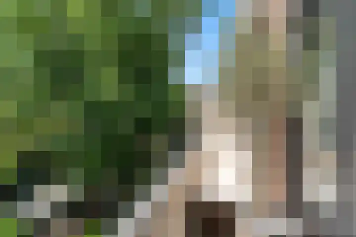 Abraham Kuyperlaan 98 A Rotterdam thumbnail 15