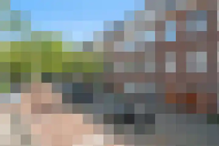 Abraham Kuyperlaan 98 A Rotterdam thumbnail 40