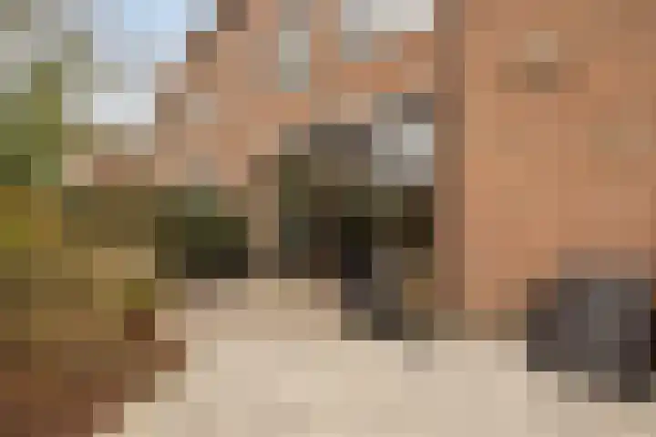 Abraham Kuyperplein 1 Leiden thumbnail 13