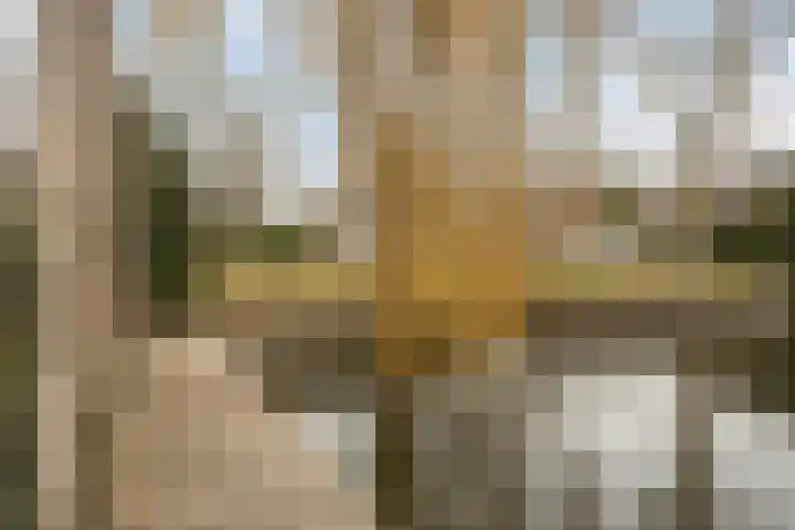 Abraham Kuyperplein 1 Leiden thumbnail 43