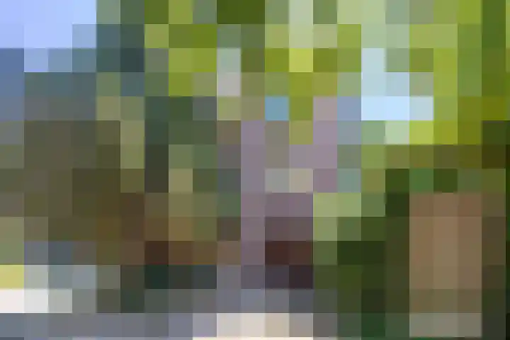 Abraham Kuyperplein 14 Leiden thumbnail 6