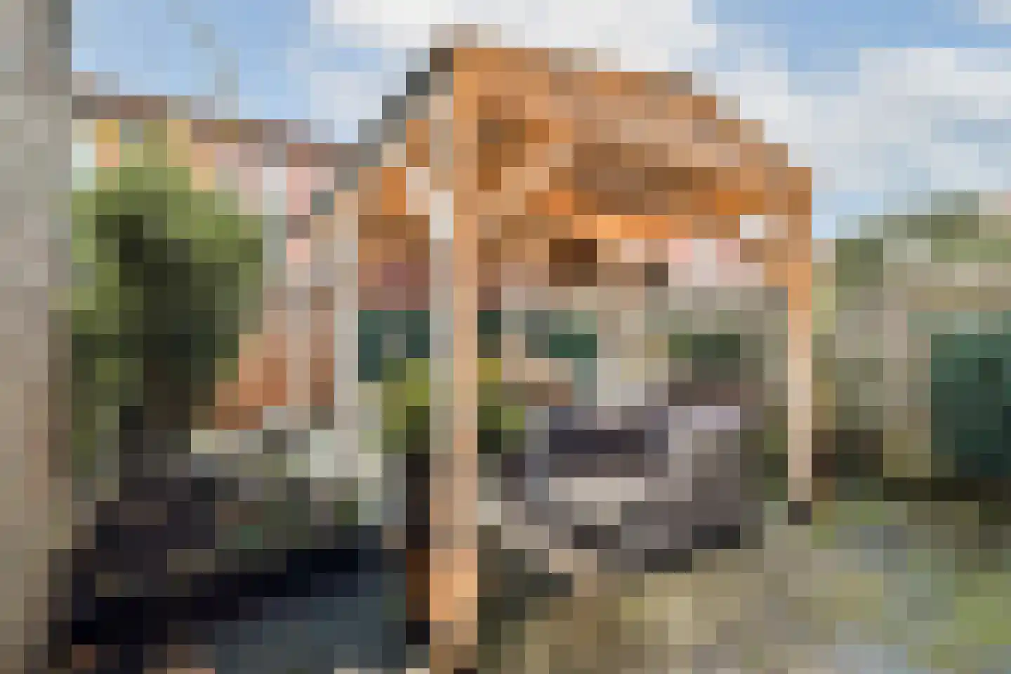 Abraham Kuyperplein 8 Amsterdam thumbnail 10