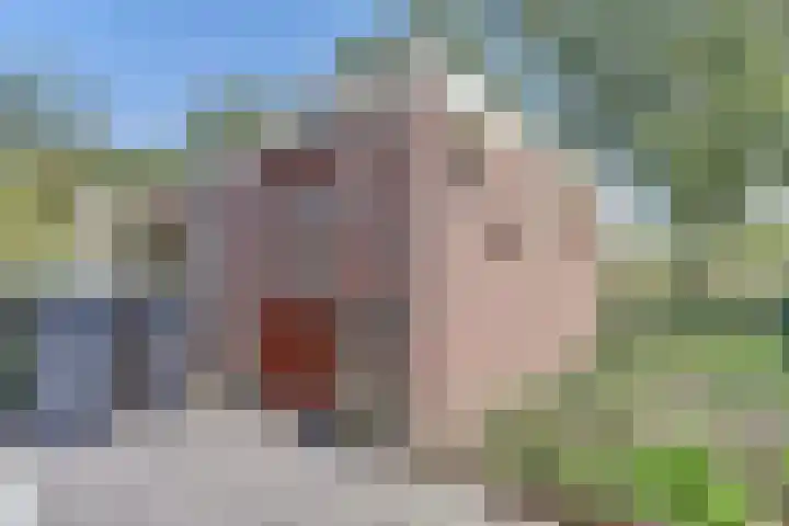 Abraham Kuypersingel 34 Zwijndrecht thumbnail 32