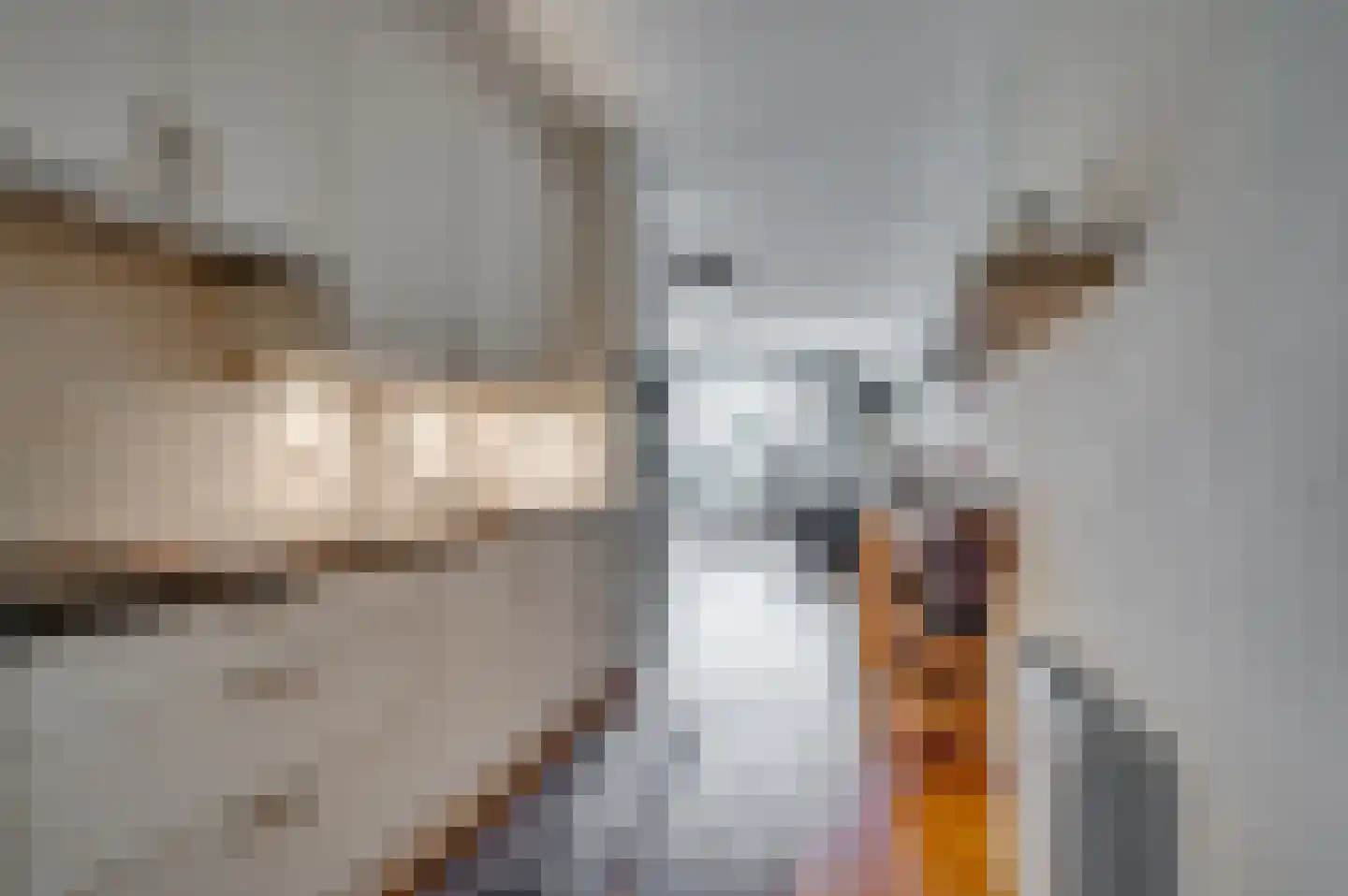 Abraham Kuyperstraat 10 Tegelen thumbnail 16