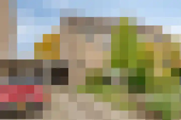 Abraham Kuyperstraat 100 Winterswijk thumbnail 4