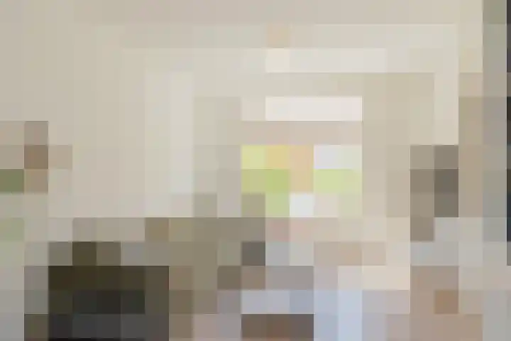 Abraham Kuyperstraat 11 Heemstede thumbnail 11