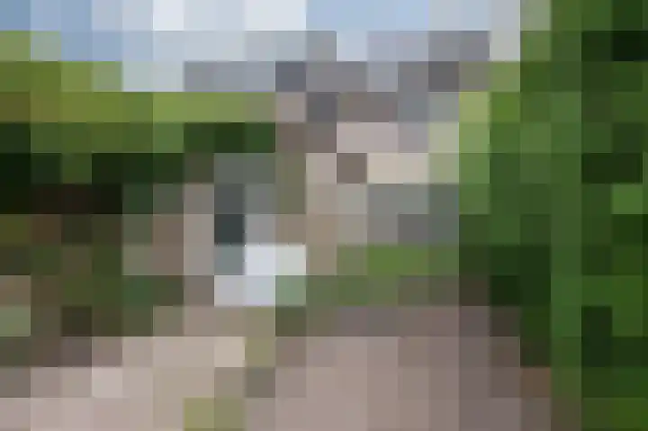 Abraham Kuyperstraat 11 Zevenaar thumbnail 4