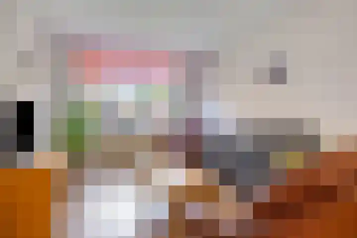Abraham Kuyperstraat 15 Oss thumbnail 11