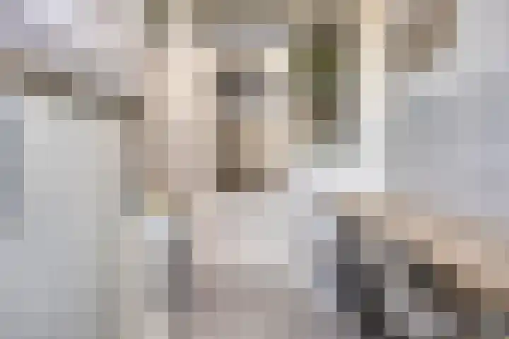 Abraham Kuyperstraat 15 Oss thumbnail 14