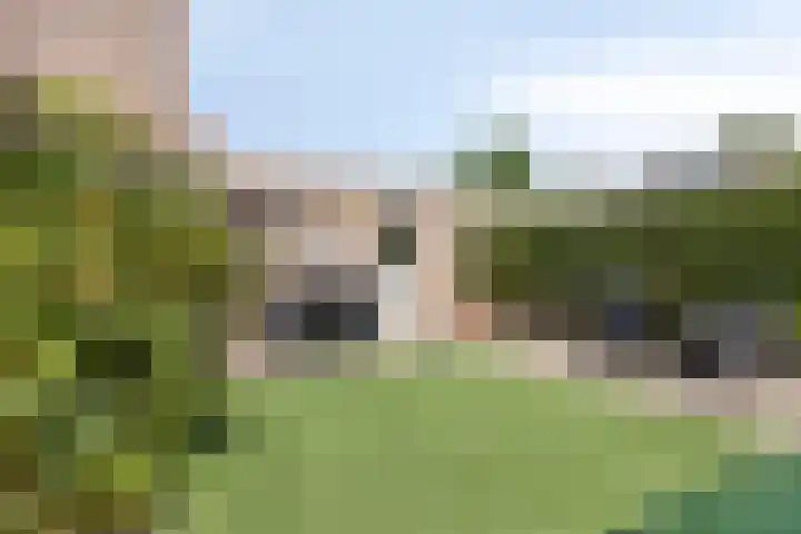Abraham Kuyperstraat 15 Oss thumbnail 16