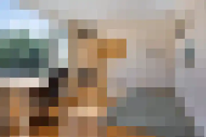 Abraham Kuyperstraat 15 Oss thumbnail 23