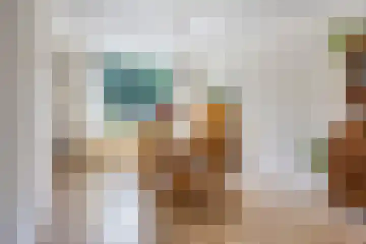 Abraham Kuyperstraat 15 Oss thumbnail 4