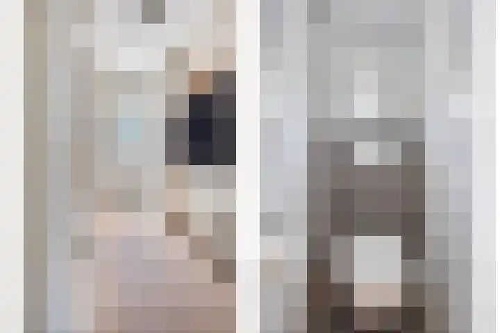 Abraham Kuyperstraat 15 Oss thumbnail 7