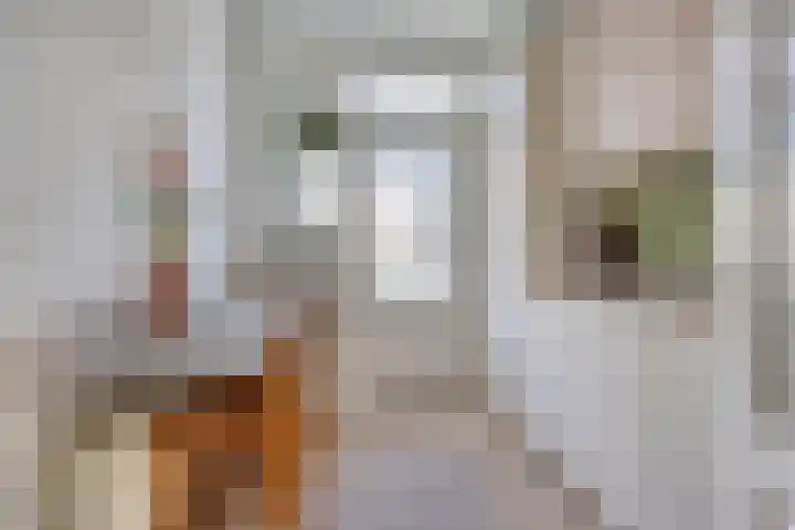 Abraham Kuyperstraat 15 Oss thumbnail 8