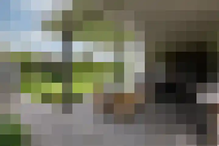 Abraham Kuyperstraat 15 Zelhem thumbnail 16
