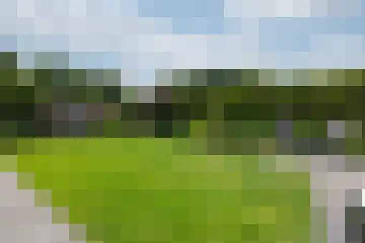 Abraham Kuyperstraat 15 Zelhem thumbnail 18