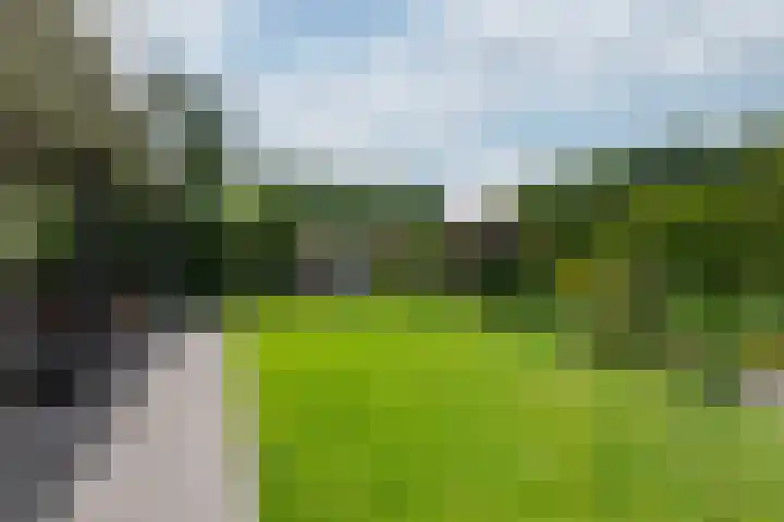 Abraham Kuyperstraat 15 Zelhem thumbnail 19