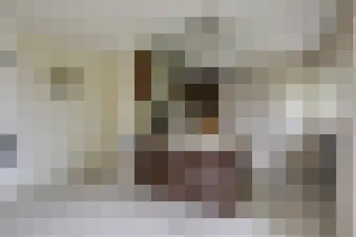 Abraham Kuyperstraat 15 Zelhem thumbnail 30