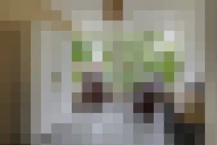 Abraham Kuyperstraat 15 Zelhem thumbnail 43