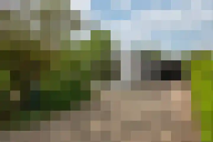 Abraham Kuyperstraat 15 Zelhem thumbnail 5