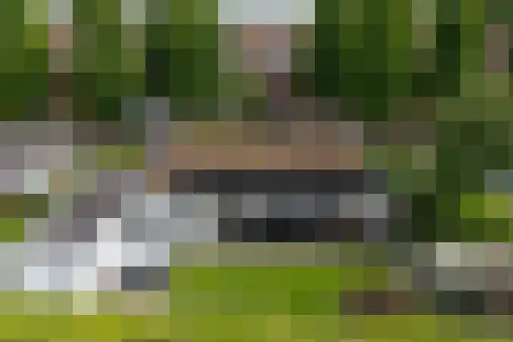 Abraham Kuyperstraat 15 Zelhem thumbnail 55