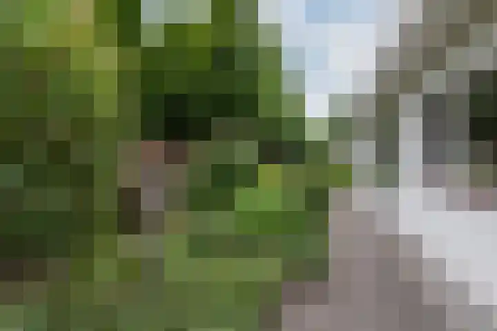 Abraham Kuyperstraat 15 Zelhem thumbnail 59
