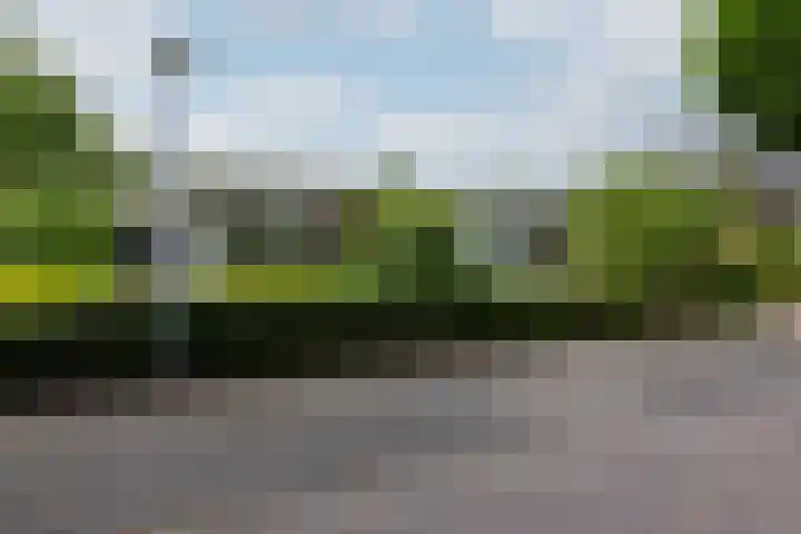 Abraham Kuyperstraat 15 Zelhem thumbnail 62