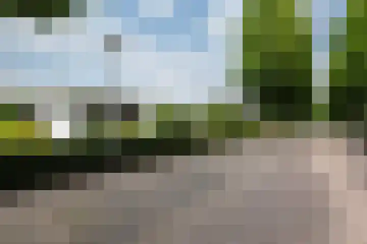 Abraham Kuyperstraat 15 Zelhem thumbnail 63